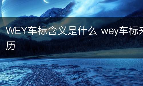 WEY车标含义是什么 wey车标来历