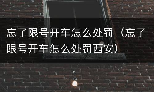 忘了限号开车怎么处罚（忘了限号开车怎么处罚西安）