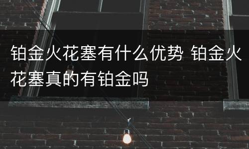 铂金火花塞有什么优势 铂金火花塞真的有铂金吗