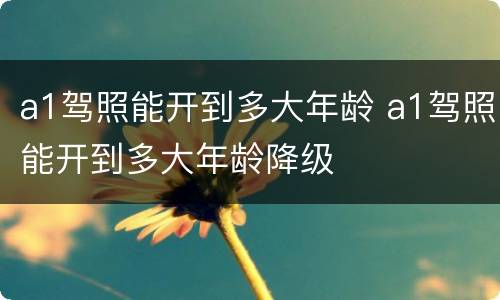 a1驾照能开到多大年龄 a1驾照能开到多大年龄降级