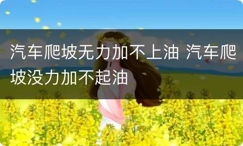 汽车爬坡无力加不上油 汽车爬坡没力加不起油