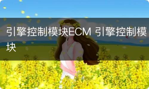 引擎控制模块ECM 引擎控制模块