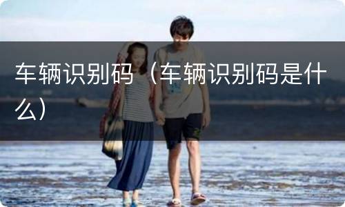 车辆识别码（车辆识别码是什么）