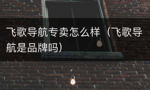 飞歌导航专卖怎么样（飞歌导航是品牌吗）