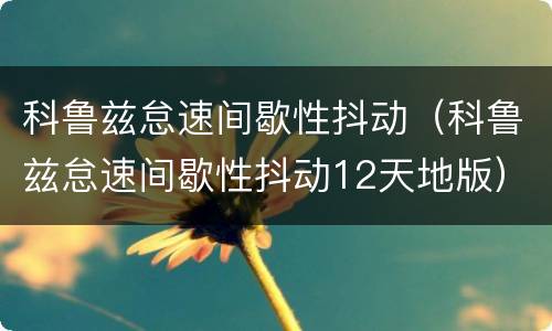 科鲁兹怠速间歇性抖动（科鲁兹怠速间歇性抖动12天地版）