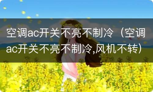 空调ac开关不亮不制冷（空调ac开关不亮不制冷,风机不转）
