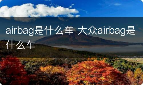airbag是什么车 大众airbag是什么车