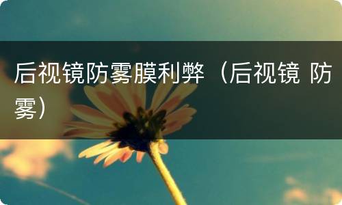 后视镜防雾膜利弊（后视镜 防雾）