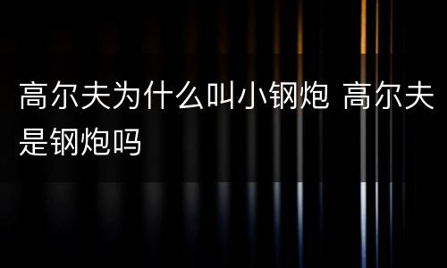 高尔夫为什么叫小钢炮 高尔夫是钢炮吗