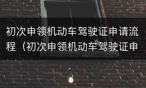 初次申领机动车驾驶证申请流程（初次申领机动车驾驶证申请流程图片）