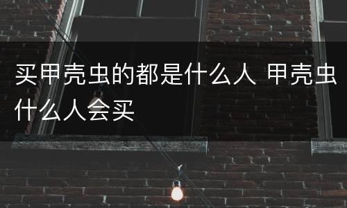 买甲壳虫的都是什么人 甲壳虫什么人会买