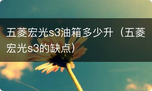 五菱宏光s3油箱多少升（五菱宏光s3的缺点）