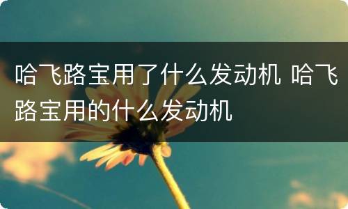 哈飞路宝用了什么发动机 哈飞路宝用的什么发动机