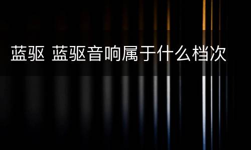 蓝驱 蓝驱音响属于什么档次