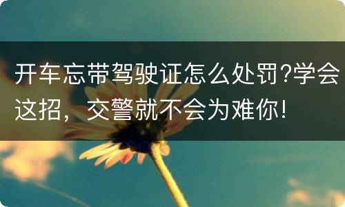 开车忘带驾驶证怎么处罚?学会这招，交警就不会为难你!