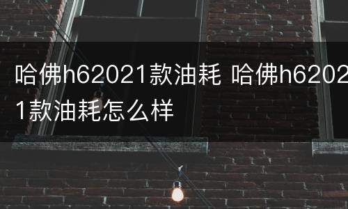 哈佛h62021款油耗 哈佛h62021款油耗怎么样