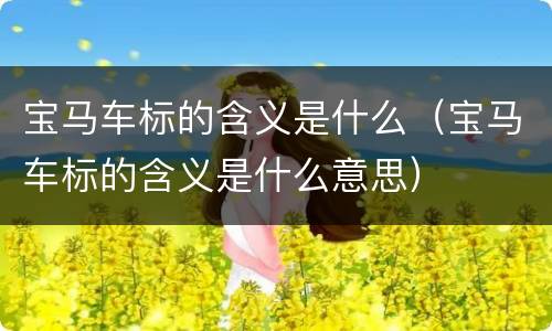 宝马车标的含义是什么（宝马车标的含义是什么意思）