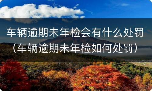 车辆逾期未年检会有什么处罚（车辆逾期未年检如何处罚）