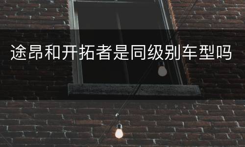 途昂和开拓者是同级别车型吗