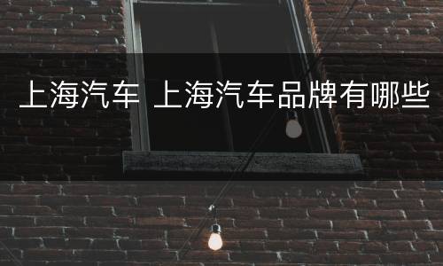 上海汽车 上海汽车品牌有哪些