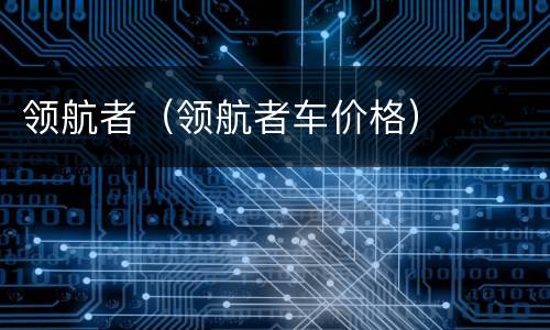 领航者（领航者车价格）
