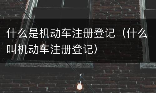 什么是机动车注册登记（什么叫机动车注册登记）