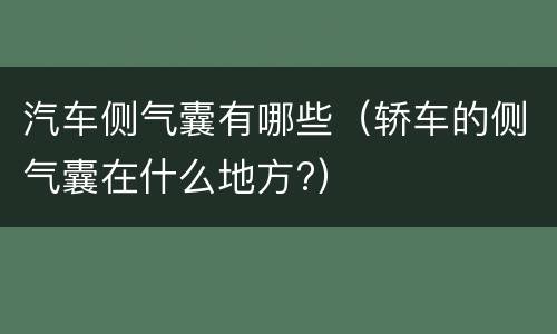 汽车侧气囊有哪些（轿车的侧气囊在什么地方?）