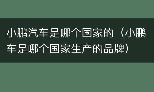 小鹏汽车是哪个国家的（小鹏车是哪个国家生产的品牌）