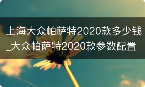 上海大众帕萨特2020款多少钱_大众帕萨特2020款参数配置