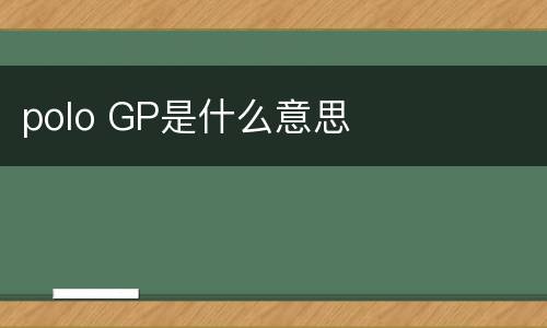 polo GP是什么意思