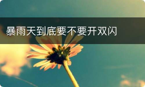 暴雨天到底要不要开双闪