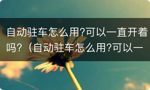 自动驻车怎么用?可以一直开着吗?（自动驻车怎么用?可以一直开着吗视频）