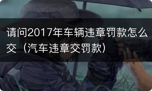 请问2017年车辆违章罚款怎么交（汽车违章交罚款）