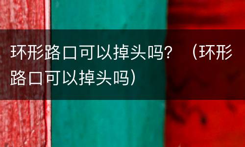 环形路口可以掉头吗？（环形路口可以掉头吗）