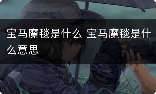 宝马魔毯是什么 宝马魔毯是什么意思