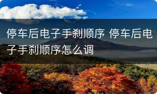 停车后电子手刹顺序 停车后电子手刹顺序怎么调