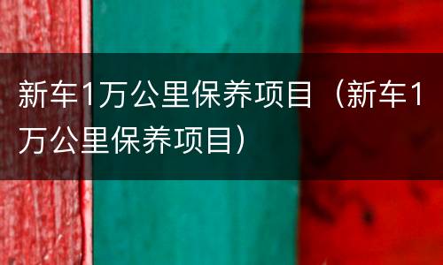 新车1万公里保养项目（新车1万公里保养项目）