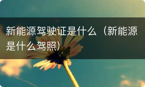 新能源驾驶证是什么（新能源是什么驾照）