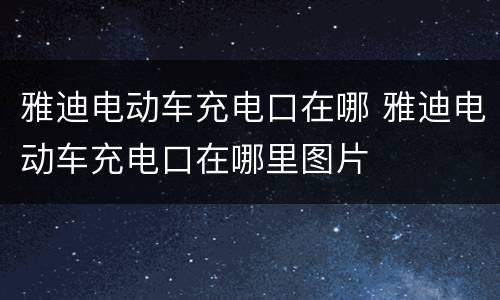 雅迪电动车充电口在哪 雅迪电动车充电口在哪里图片