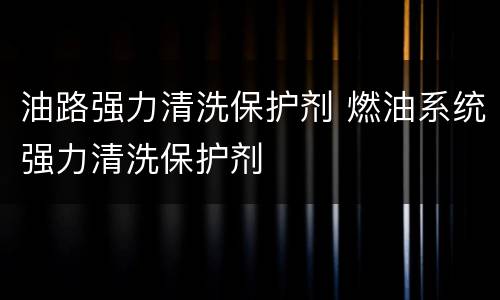 油路强力清洗保护剂 燃油系统强力清洗保护剂