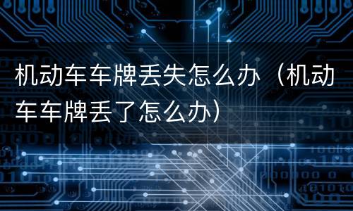 机动车车牌丢失怎么办（机动车车牌丢了怎么办）