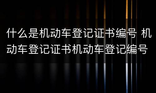什么是机动车登记证书编号 机动车登记证书机动车登记编号