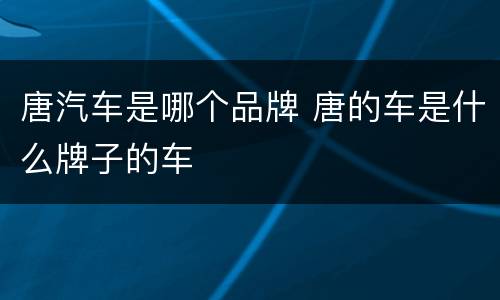 唐汽车是哪个品牌 唐的车是什么牌子的车