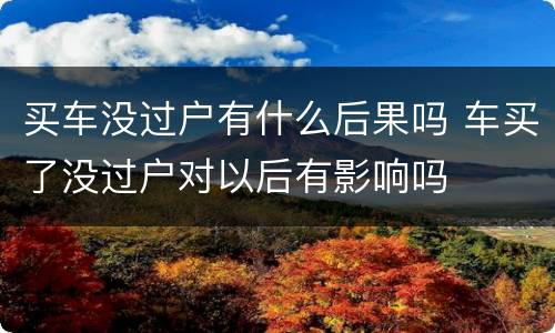 买车没过户有什么后果吗 车买了没过户对以后有影响吗