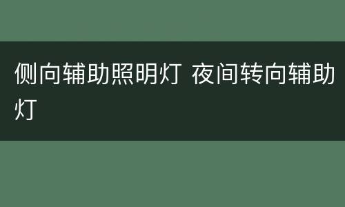 侧向辅助照明灯 夜间转向辅助灯