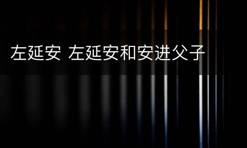 左延安 左延安和安进父子