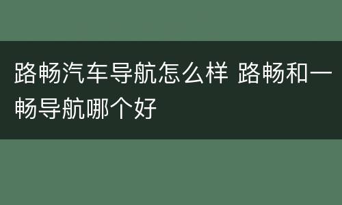 路畅汽车导航怎么样 路畅和一畅导航哪个好