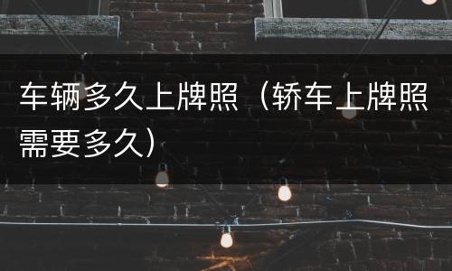 车辆多久上牌照（轿车上牌照需要多久）