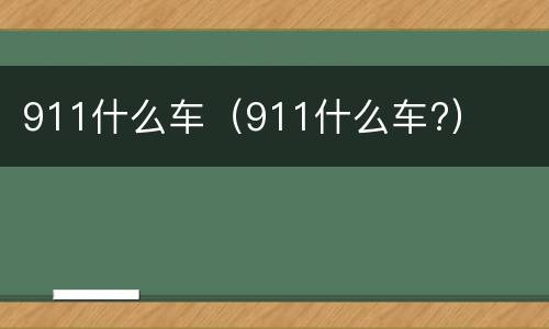 911什么车（911什么车?）