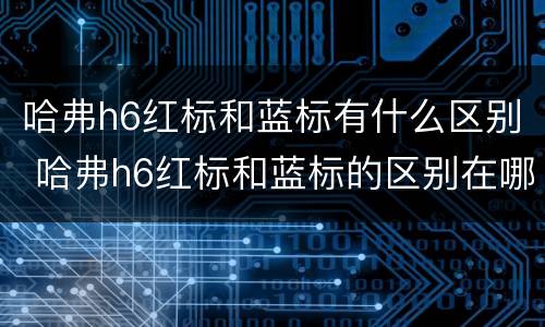 哈弗h6红标和蓝标有什么区别 哈弗h6红标和蓝标的区别在哪里